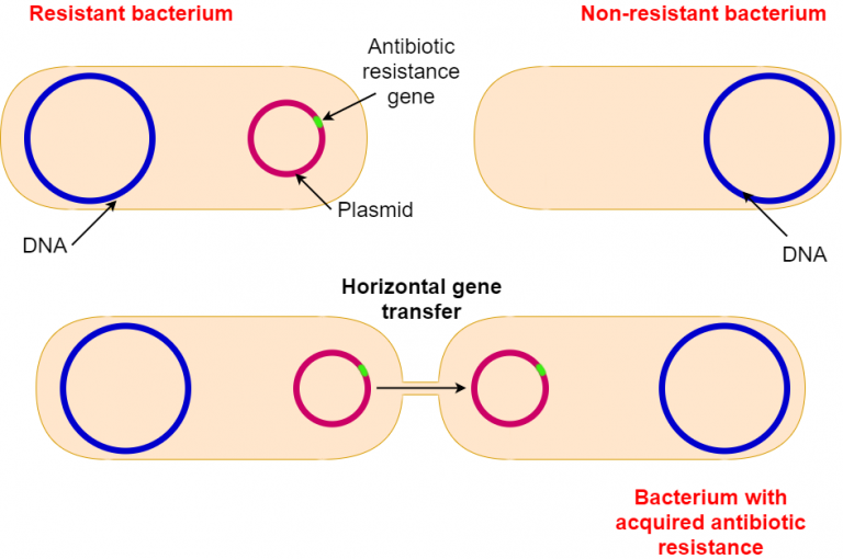 What Is Antibiotic Resistance And Why Is It A Threat To Public Health ...