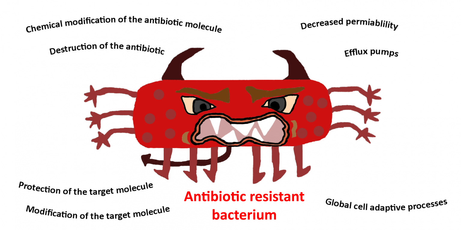 What is antibiotic resistance and why is it a threat to public health